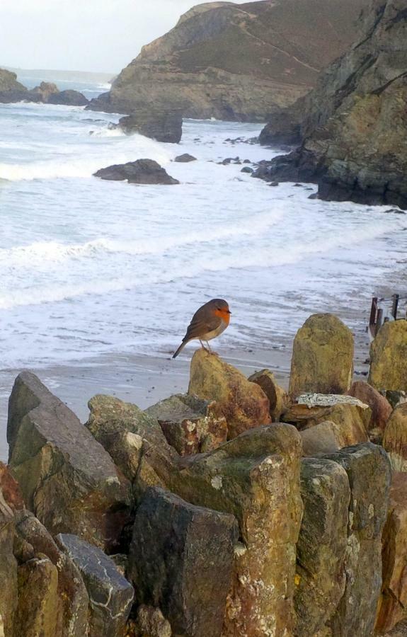 Wrens Nook Villa St Agnes  Bagian luar foto